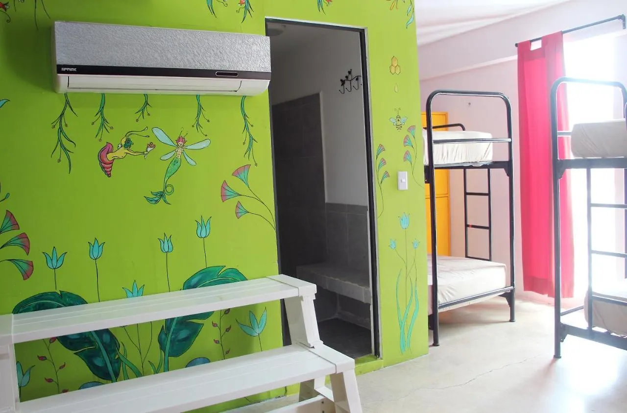 Hotel & Hostal Casa De Luz Cancun