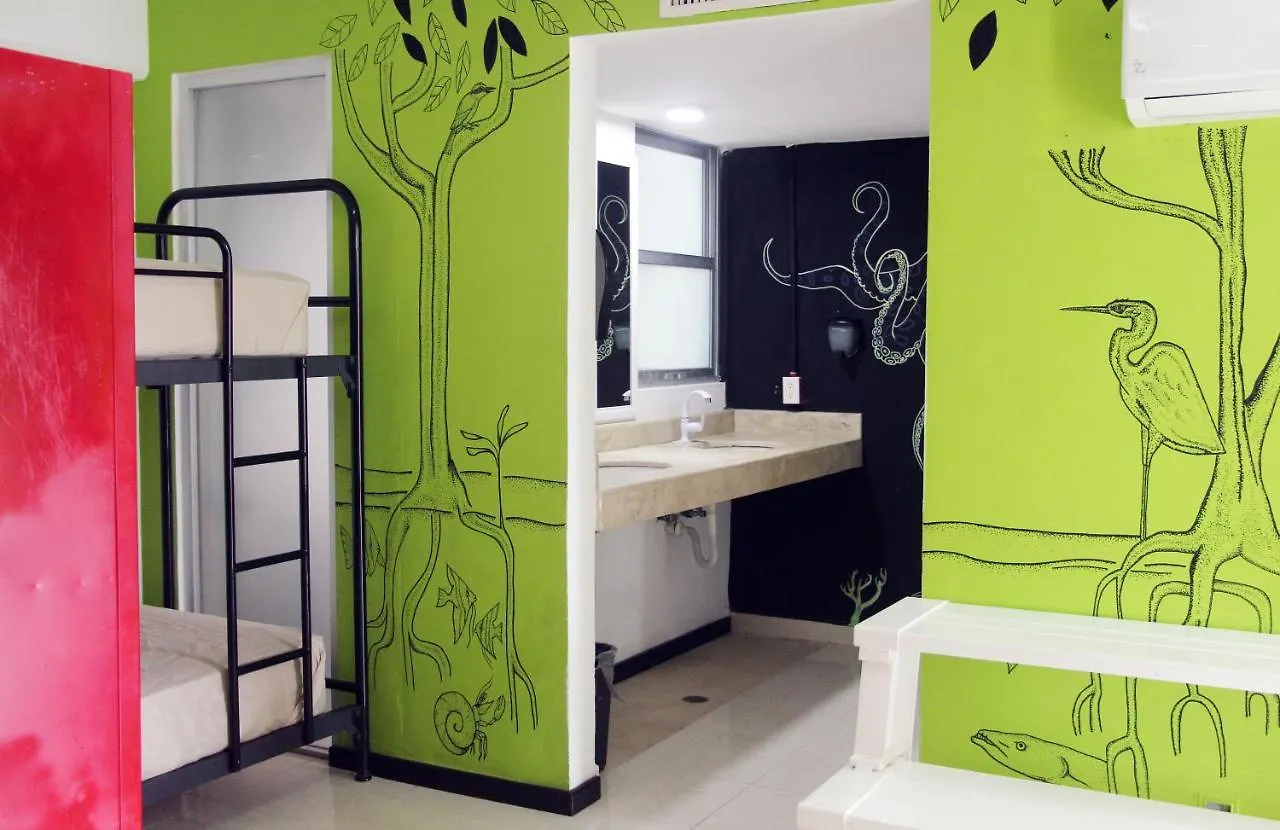 Hotel & Hostal Casa De Luz Cancun